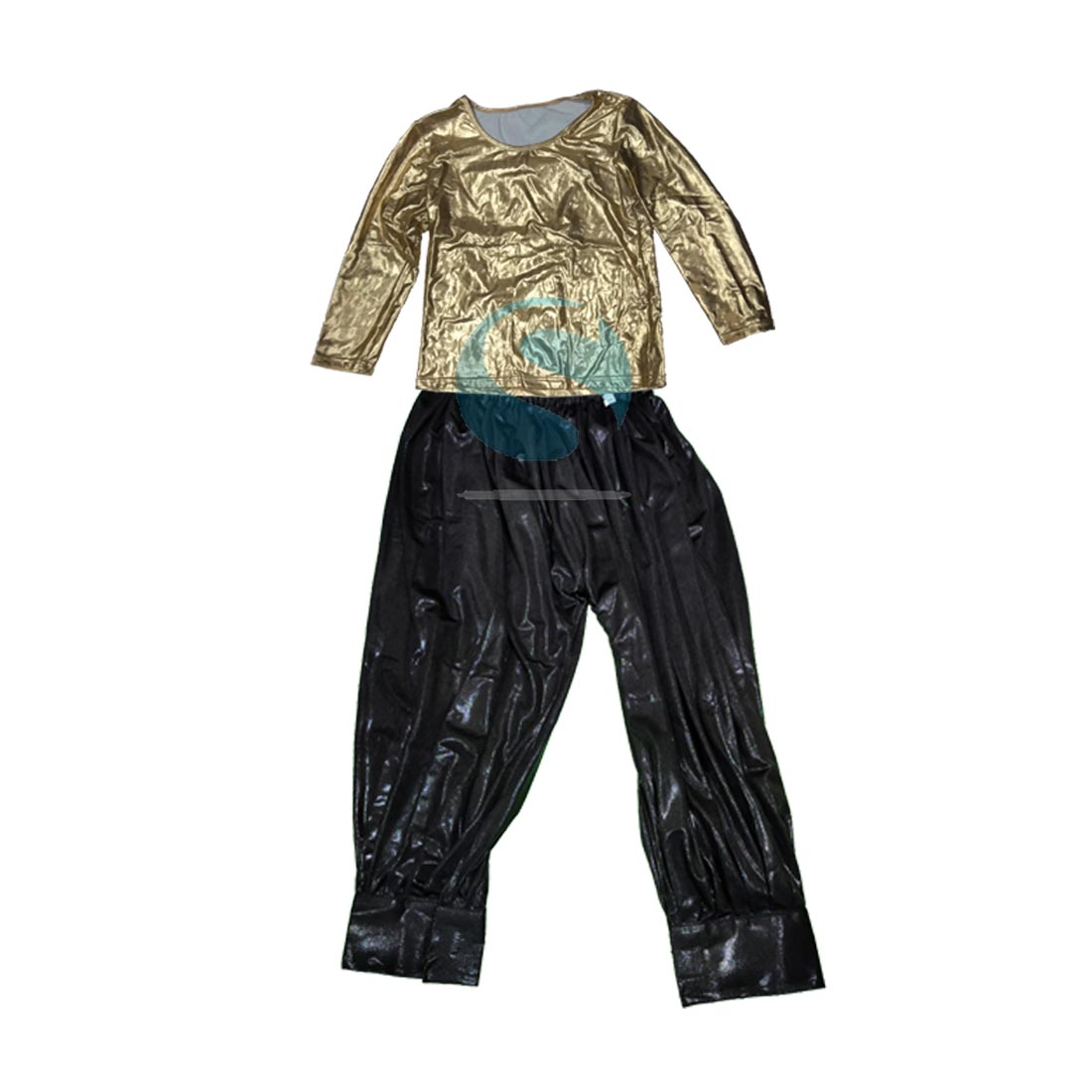 Western Dance Costume for Boy – Golden t-shirt and Black Harem – 30373 ...
