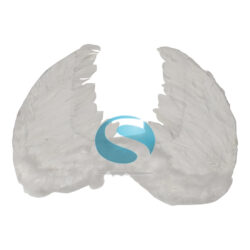 Fancy Dresses Angel Wings White kids – 30645